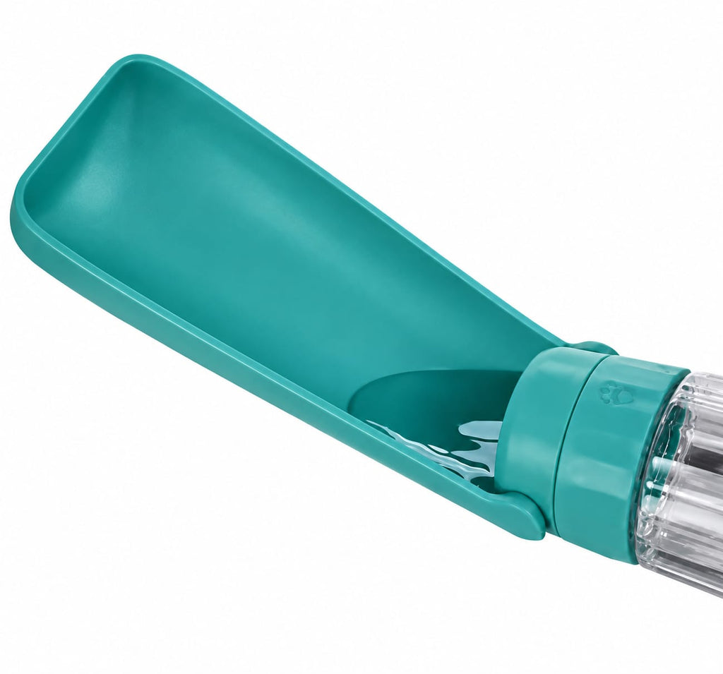 Gourde pour Chien ~Turquoise~